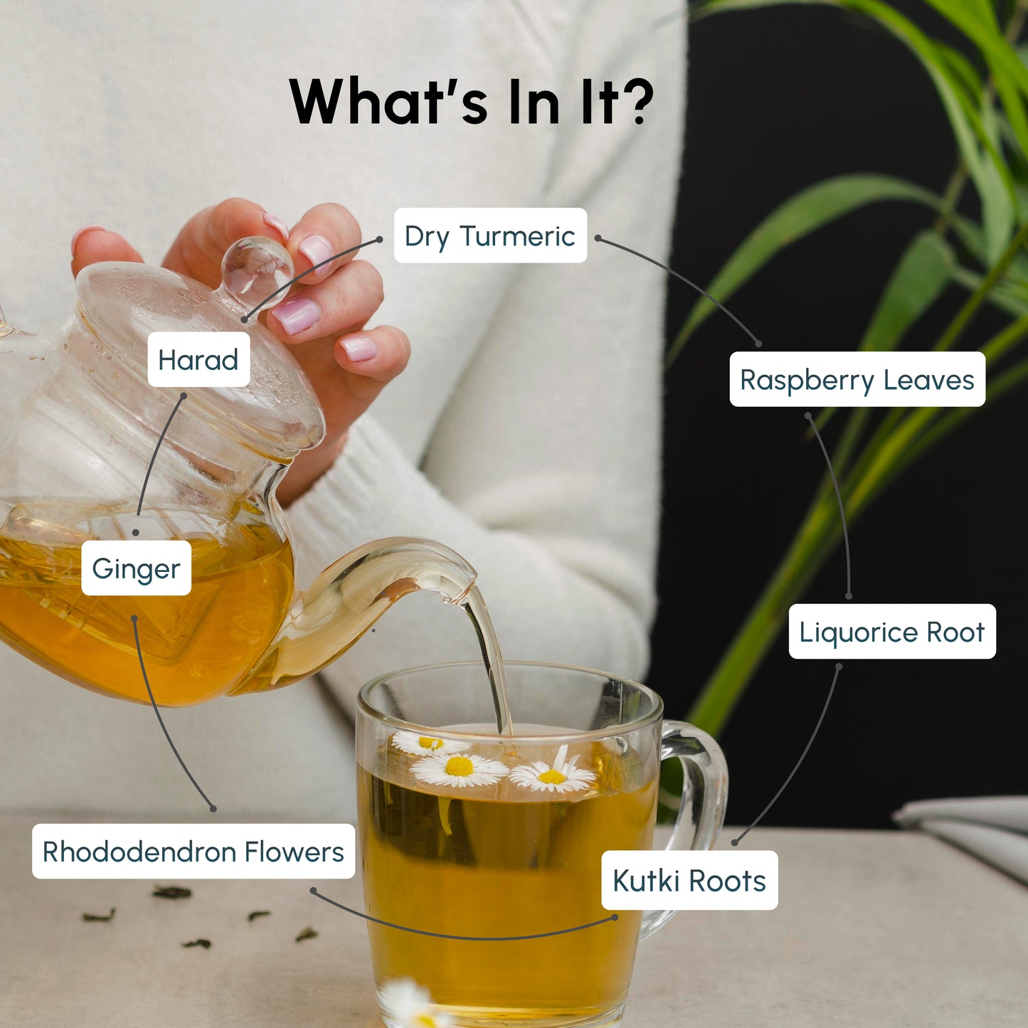 BioDefense Tea