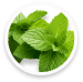 Spearmint Leaves